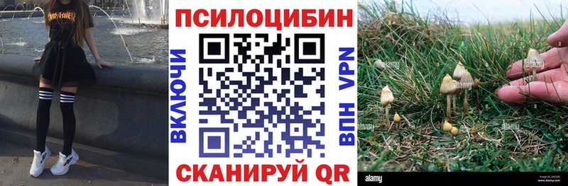 наркошоп  Грязи  Псилоцибиновые грибы MAGIC MUSHROOMS 
